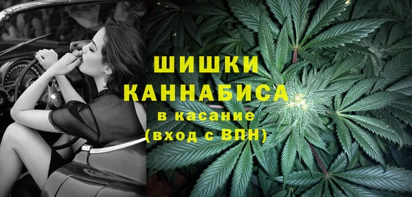 ешки Пересвет