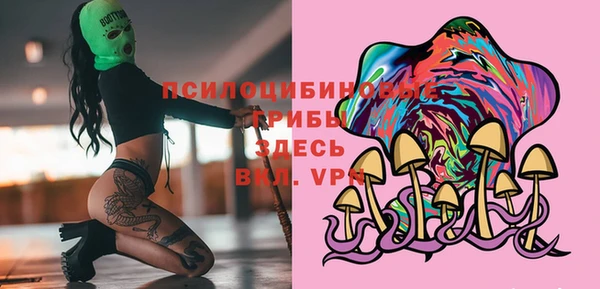 ешки Пересвет