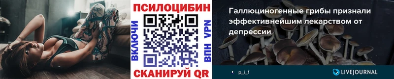 Галлюциногенные грибы ЛСД  Луховицы 