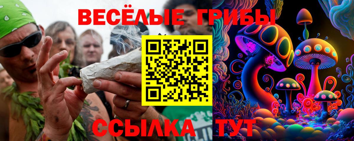 Псилоцибиновые грибы MAGIC MUSHROOMS  Вход с VPN  Псилоцибиновые грибы мухоморы  Луховицы 